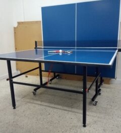 Ping Pong