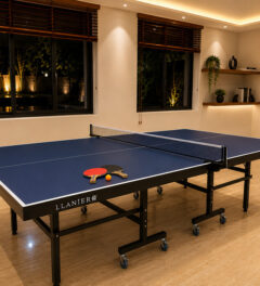 Ping Pong